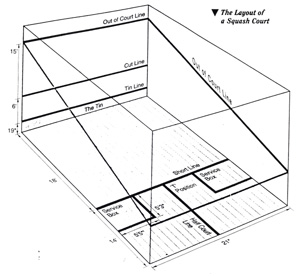 Squash court diagram